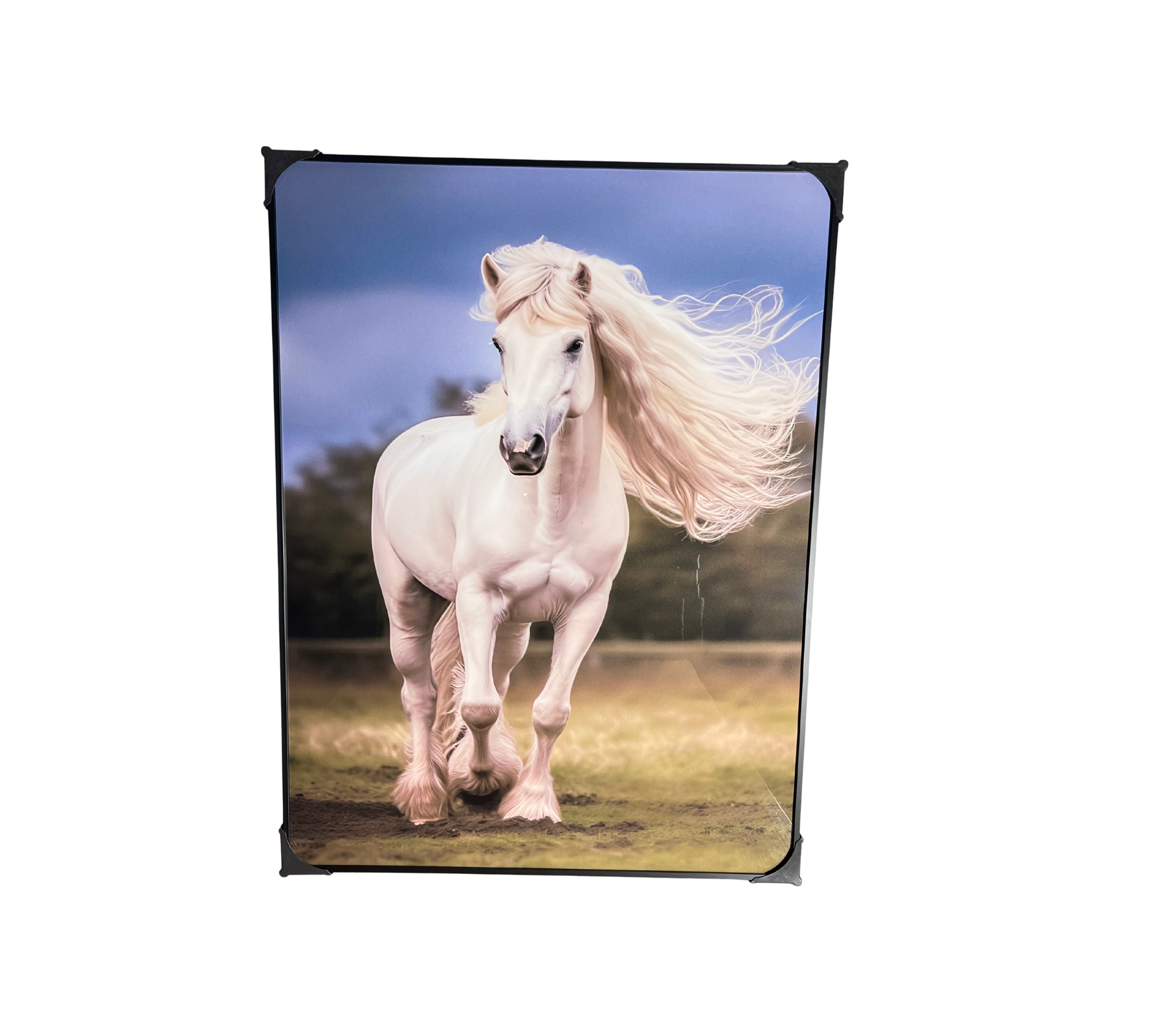 Urban Canvas – Tavla