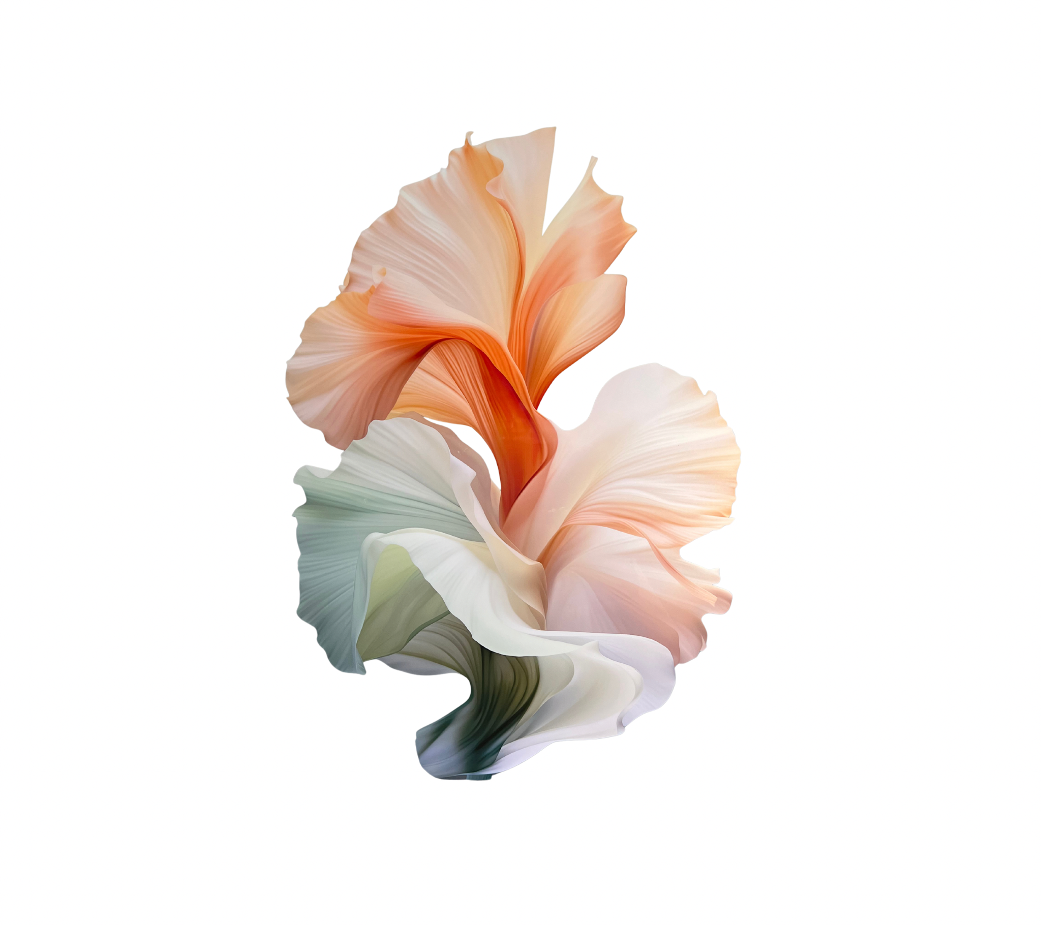 Urban Canvas – Tavla