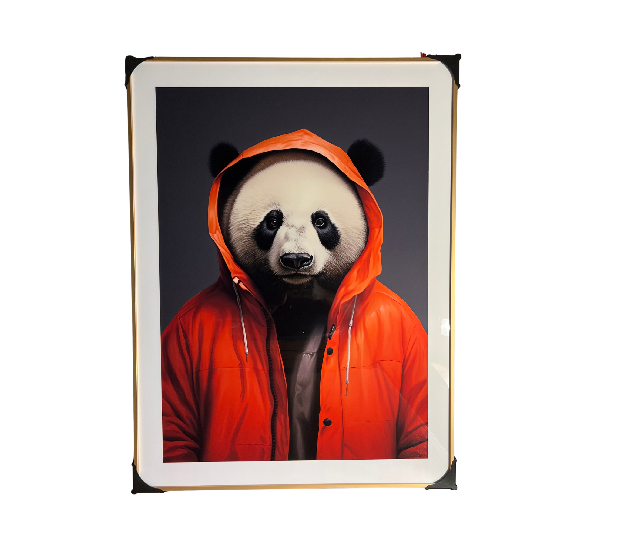 Urban Canvas – Tavla